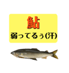 【デカ文字版2】鮎釣り中に使えるスタンプ（個別スタンプ：33）