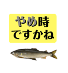 【デカ文字版2】鮎釣り中に使えるスタンプ（個別スタンプ：34）