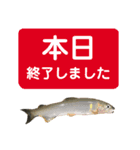 【デカ文字版2】鮎釣り中に使えるスタンプ（個別スタンプ：40）