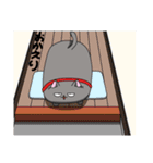 ドラム猫と相棒犬（個別スタンプ：9）