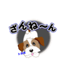 子犬のジャックの可愛い言葉（個別スタンプ：12）