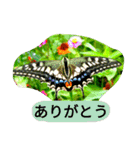 昆虫 蝶 蝉 蜂（個別スタンプ：2）