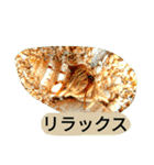 昆虫 蝶 蝉 蜂（個別スタンプ：8）