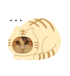 うちの−ねこ（個別スタンプ：14）