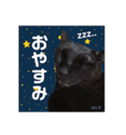 黒猫ぽんず様（個別スタンプ：20）