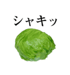 毎日便利に使える渋くてかわいいお野菜たち（個別スタンプ：7）