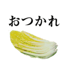 毎日便利に使える渋くてかわいいお野菜たち（個別スタンプ：11）