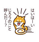 じろう、柴犬になりました。（個別スタンプ：1）