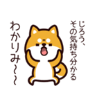 じろう、柴犬になりました。（個別スタンプ：22）