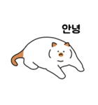 太った猫はかわいい (Korean)（個別スタンプ：1）