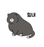 太った猫はかわいい (Korean)（個別スタンプ：10）