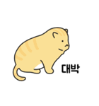 太った猫はかわいい (Korean)（個別スタンプ：17）