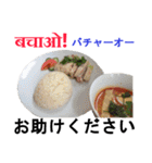 食べ物の写真 ヒンディー語と日本語（個別スタンプ：24）