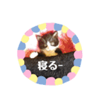 ゆっけとちゅぃ（個別スタンプ：1）