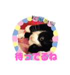 ゆっけとちゅぃ（個別スタンプ：8）