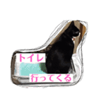 ゆっけとちゅぃ（個別スタンプ：11）