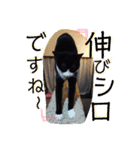 ゆっけとちゅぃ（個別スタンプ：25）
