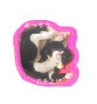 ゆっけとちゅぃ（個別スタンプ：26）