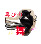ゆっけとちゅぃ（個別スタンプ：28）