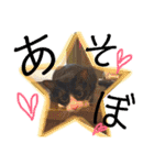 ゆっけとちゅぃ（個別スタンプ：35）
