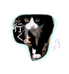 ゆっけとちゅぃ（個別スタンプ：40）