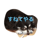 チョコちん（個別スタンプ：2）