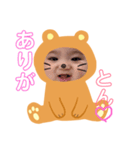 悠翔くんだよ2（個別スタンプ：3）