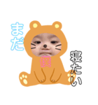 悠翔くんだよ2（個別スタンプ：5）