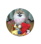 ノア スタンプ（個別スタンプ：5）