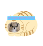 こんにちは hello（個別スタンプ：1）