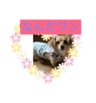 こんにちは hello（個別スタンプ：3）