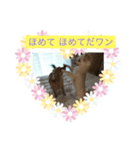 こんにちは hello（個別スタンプ：7）