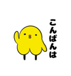 敬語な超ひよこ（個別スタンプ：34）