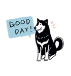 Every Day Dog Black Shiba（個別スタンプ：4）