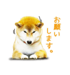 今日も柴犬といっしょ（個別スタンプ：21）