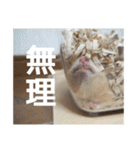 我が家のPちゃん（個別スタンプ：3）