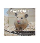 我が家のPちゃん（個別スタンプ：6）
