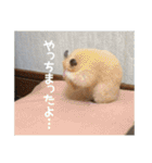 我が家のPちゃん（個別スタンプ：14）