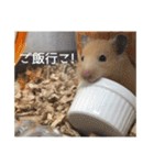 我が家のPちゃん（個別スタンプ：22）