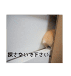 我が家のPちゃん（個別スタンプ：26）