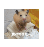 我が家のPちゃん（個別スタンプ：31）
