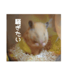 我が家のPちゃん（個別スタンプ：32）