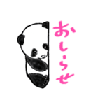 パンダとくまちゃん（個別スタンプ：5）