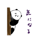 パンダとくまちゃん（個別スタンプ：23）