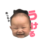 カイときどきニコ（個別スタンプ：1）