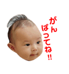 カイときどきニコ（個別スタンプ：12）