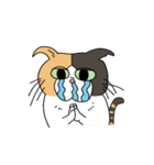 鼻炎のみけねこ（個別スタンプ：3）