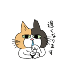 鼻炎のみけねこ（個別スタンプ：4）