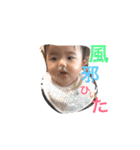 ここのちゃん（個別スタンプ：1）