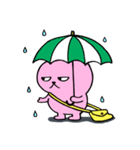 うさぎのピョルル（個別スタンプ：19）